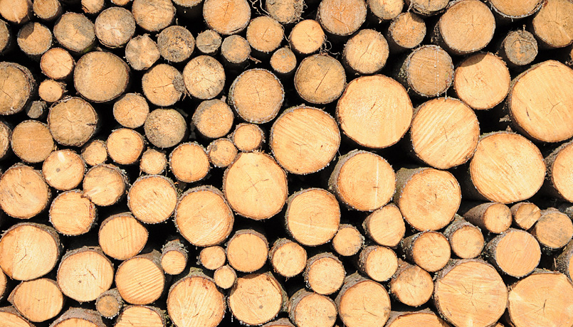 Holz aus der Region, © Neubert Werbung e.K.